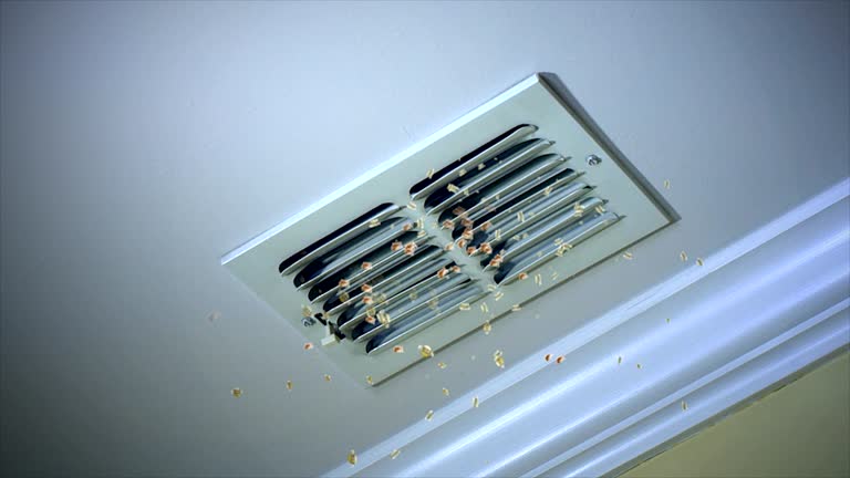 Best Air Duct Sanitizing Services  in Jasper, AL