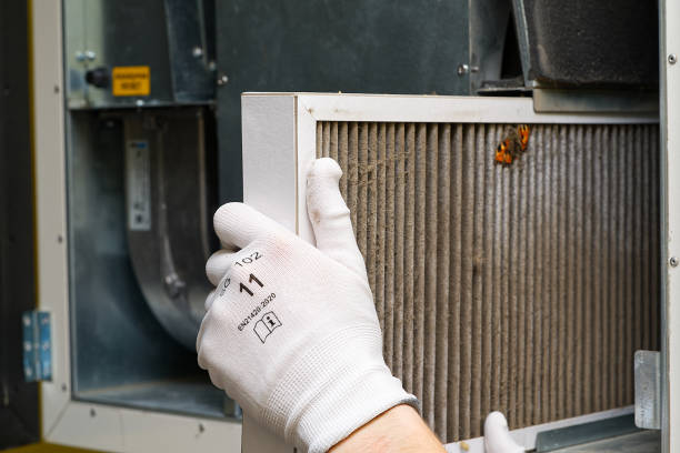 Best HVAC Air Duct Cleaning  in Jasper, AL