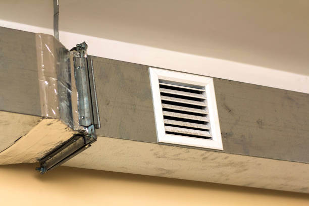Best Professional Duct Cleaning Services  in Jasper, AL